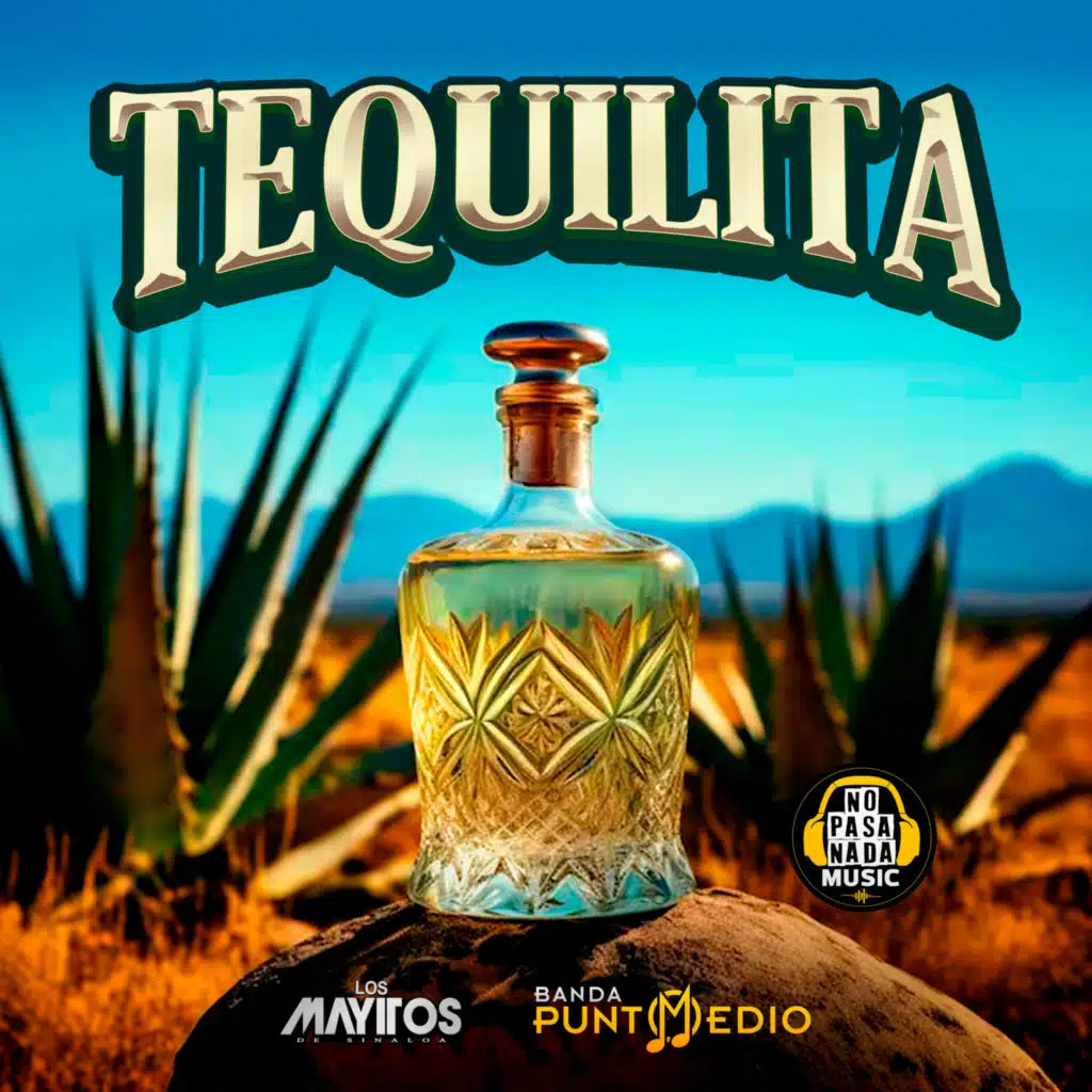 Banda Punto Medio & Los Mayitos De Sinaloa
