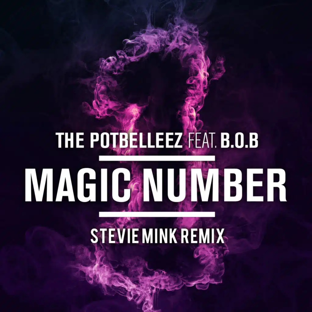 Magic Number (Stevie Mink Extended Remix) [feat. B.o.B]