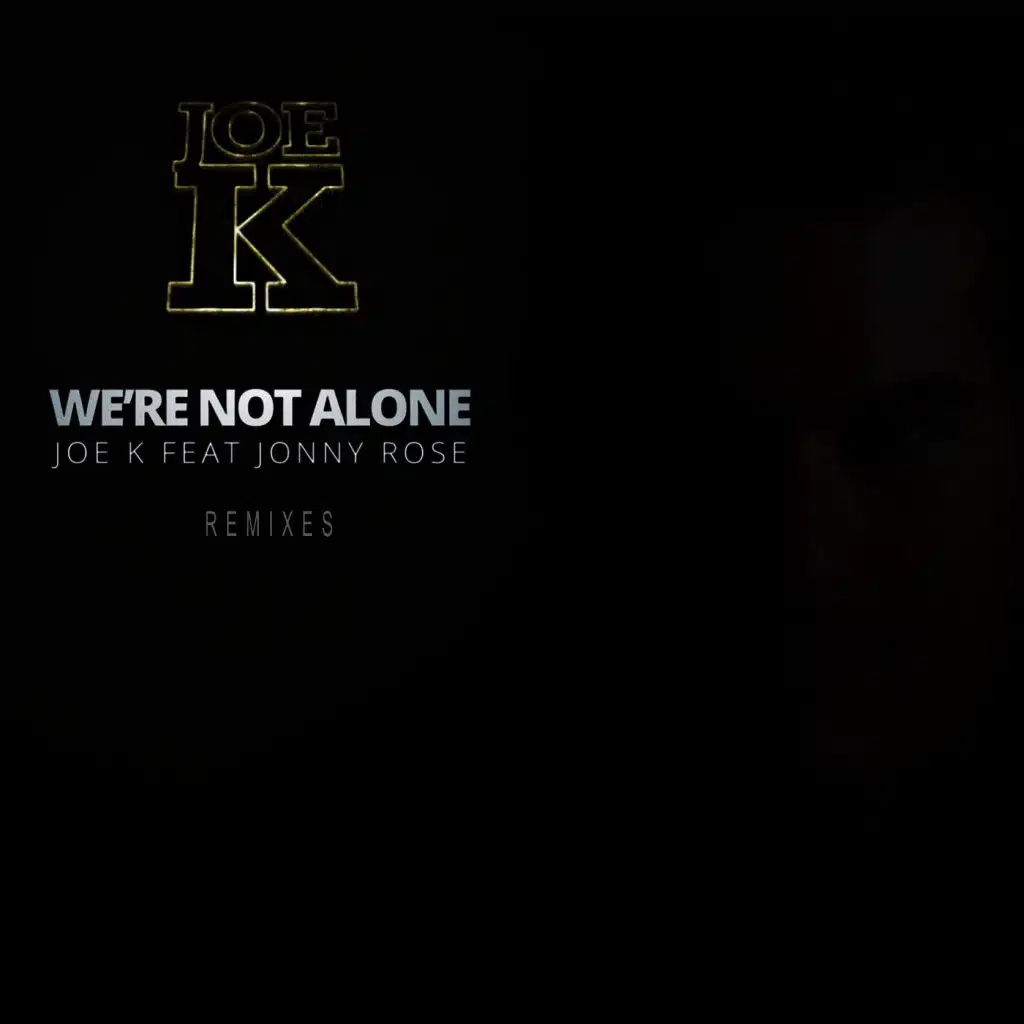 We're Not Alone (Remixes)