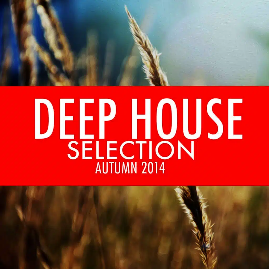 Deep House Selection Autumn 2014