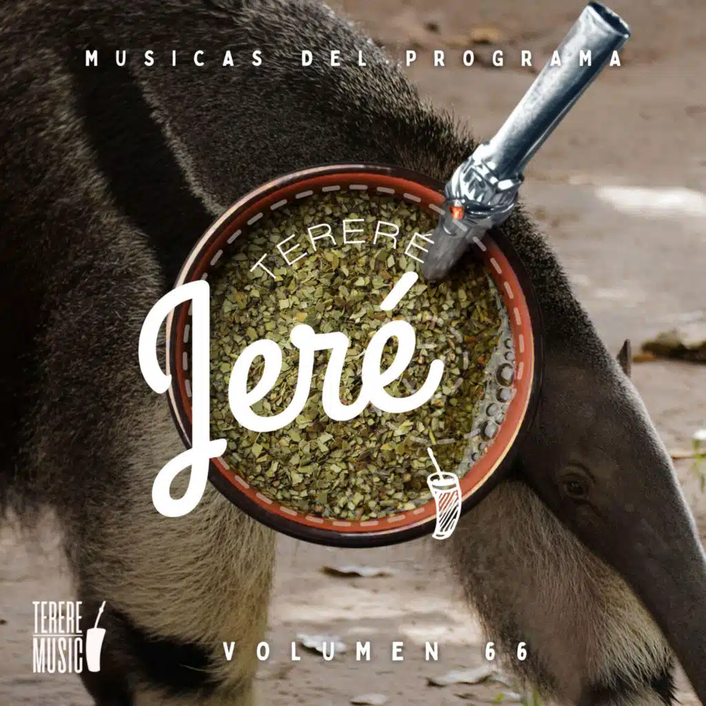 Te Añoro Piribebuy (En Vivo) [feat. Los Ídolos De Piribebuy]