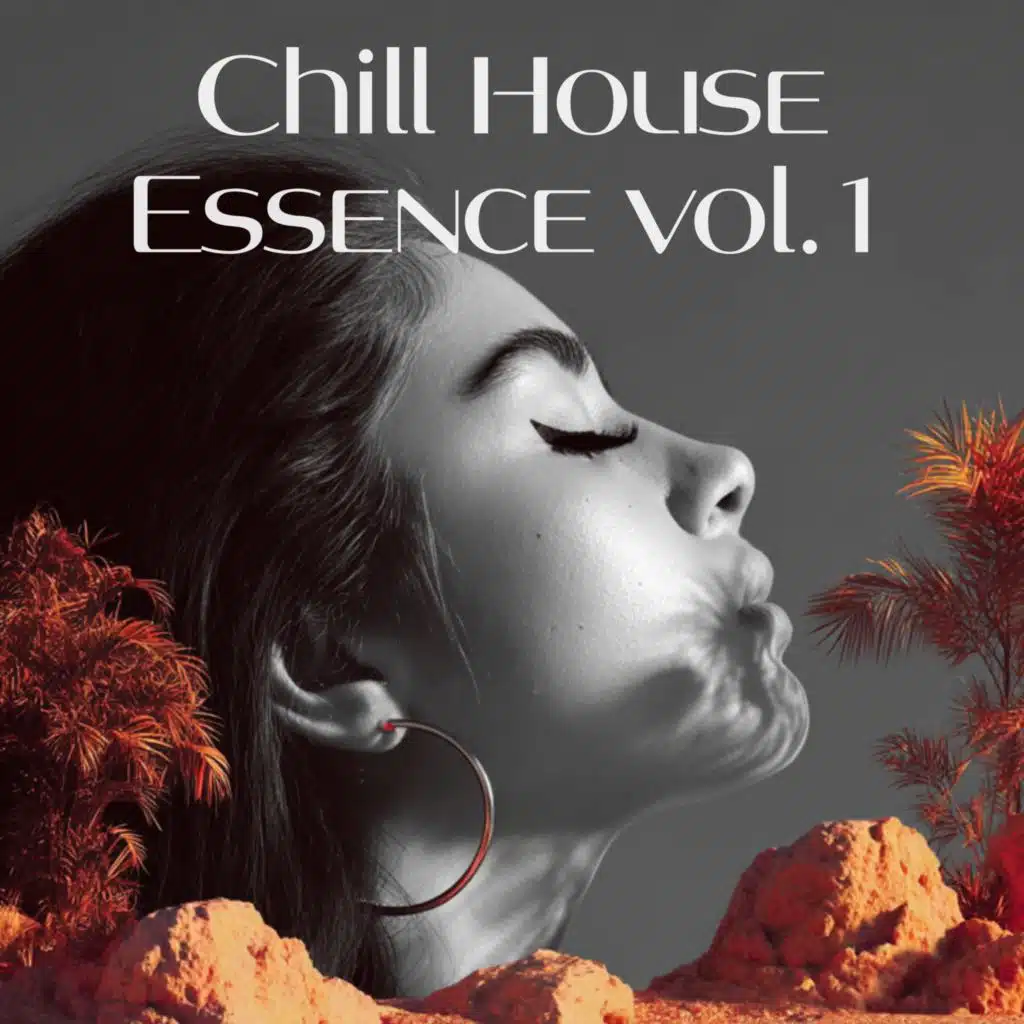 Chill House Essence vol.1