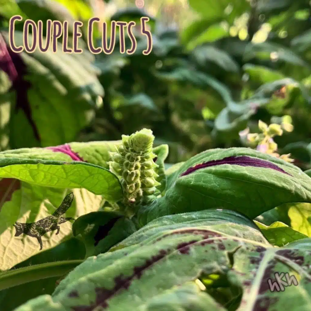 Couple Cuts: Volume 5