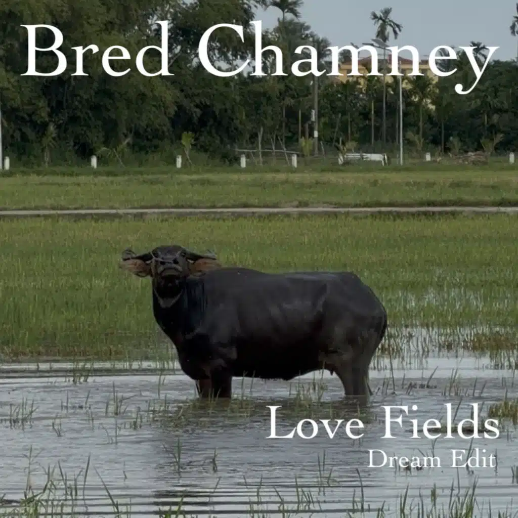 Love Fields (Dream Edit)