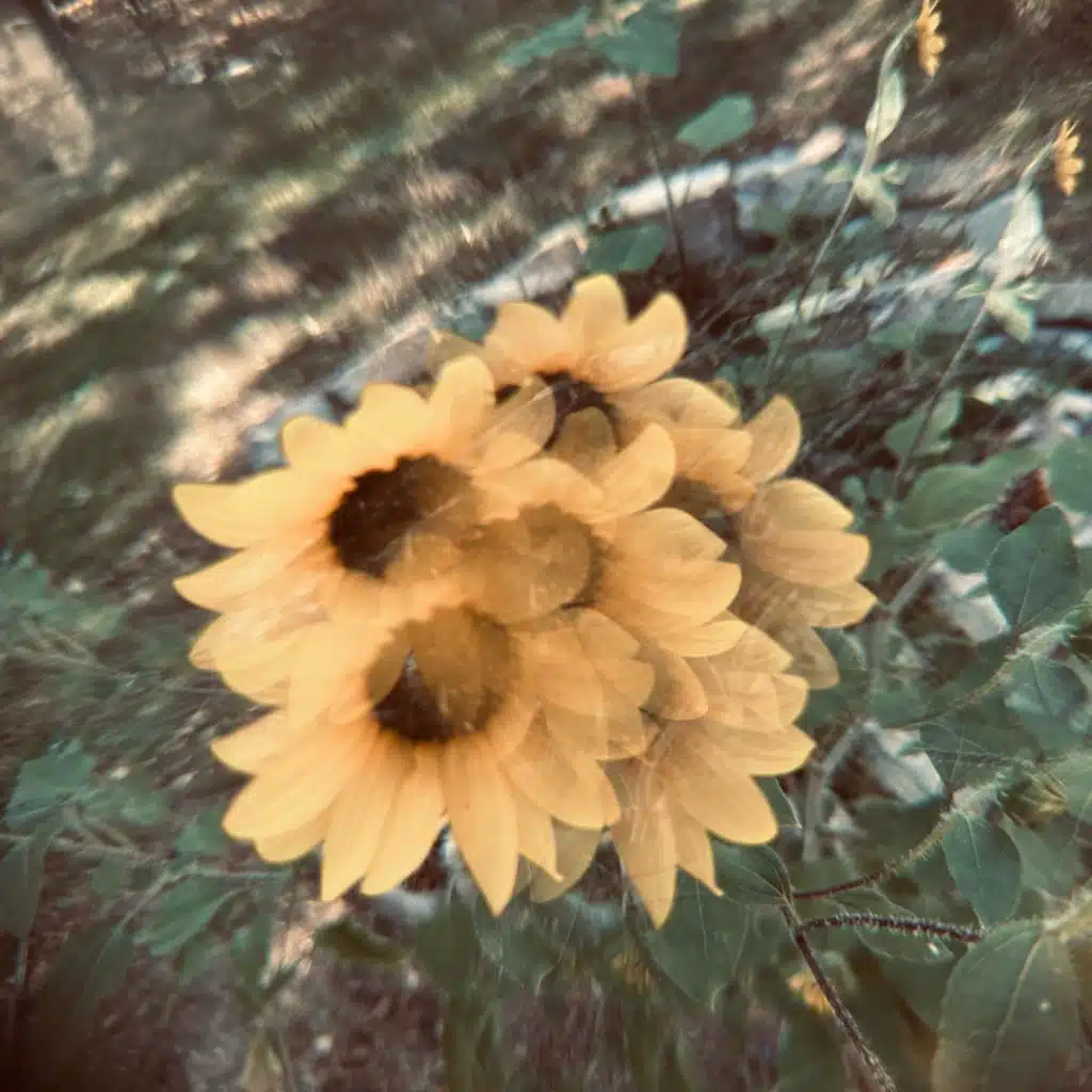 are you still playing music? EP