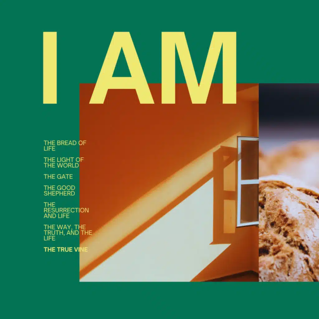 I Am - The True Vine - Ps. Aaron