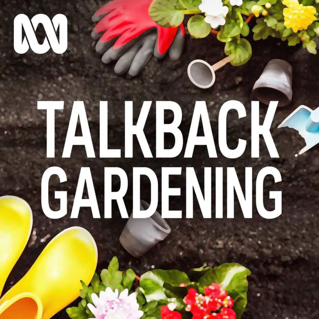 ABC Talkback Gardening explores the wonderful world of SA begonias
