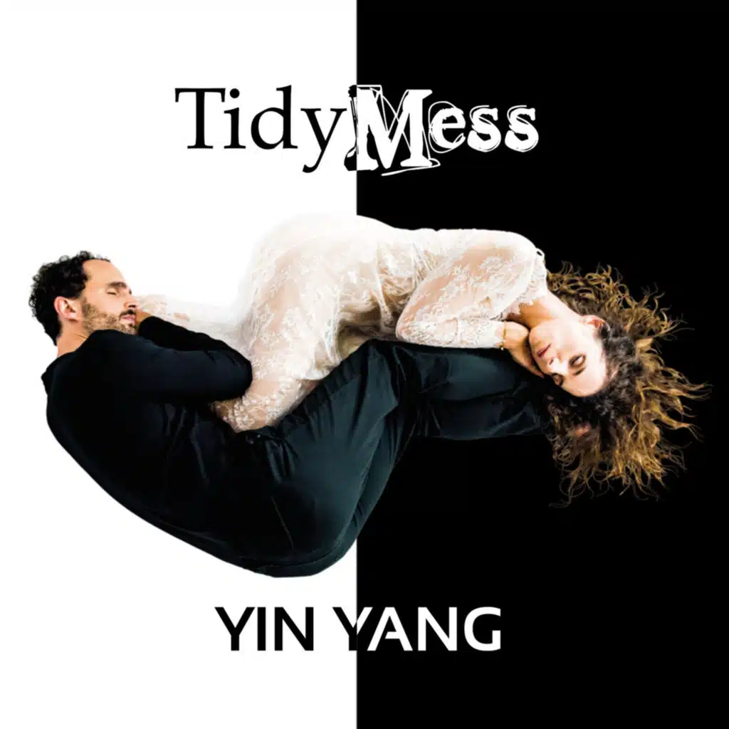 TidyMess