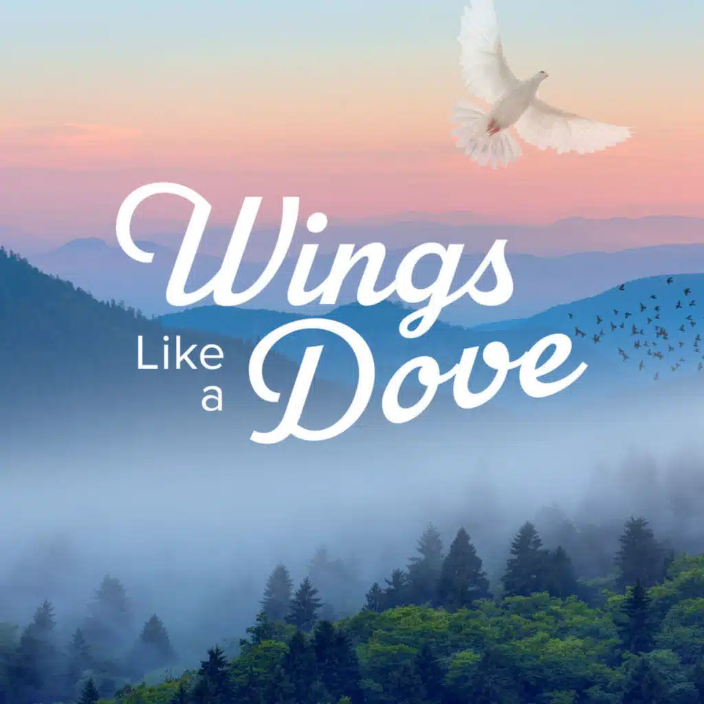 Wings Like a Dove