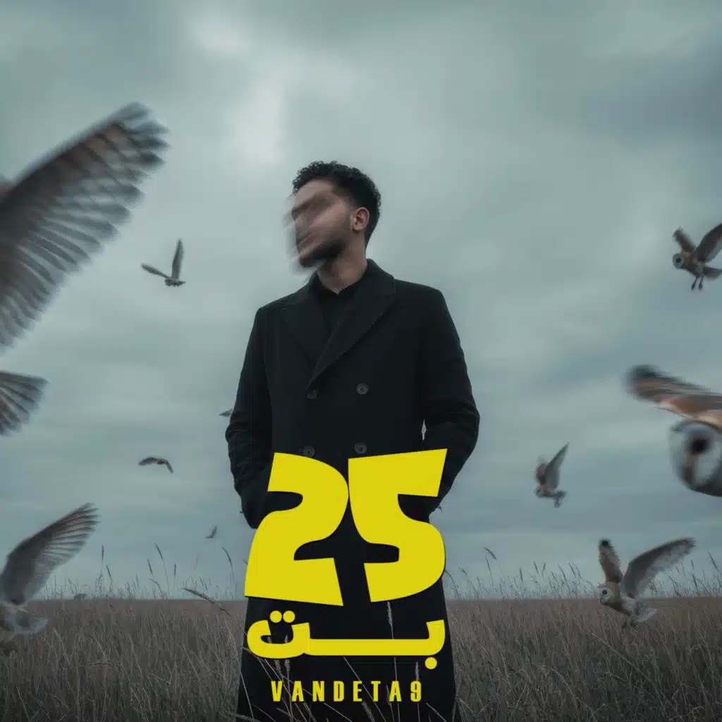 Vandeta9