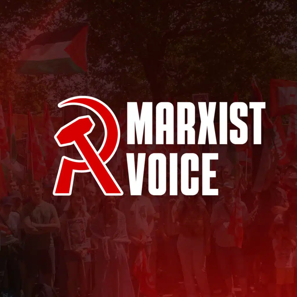 How to free Palestine 