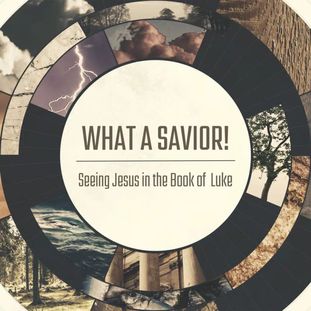 My 2 Cents | Jim Donohue | Luke 20:45-21:4