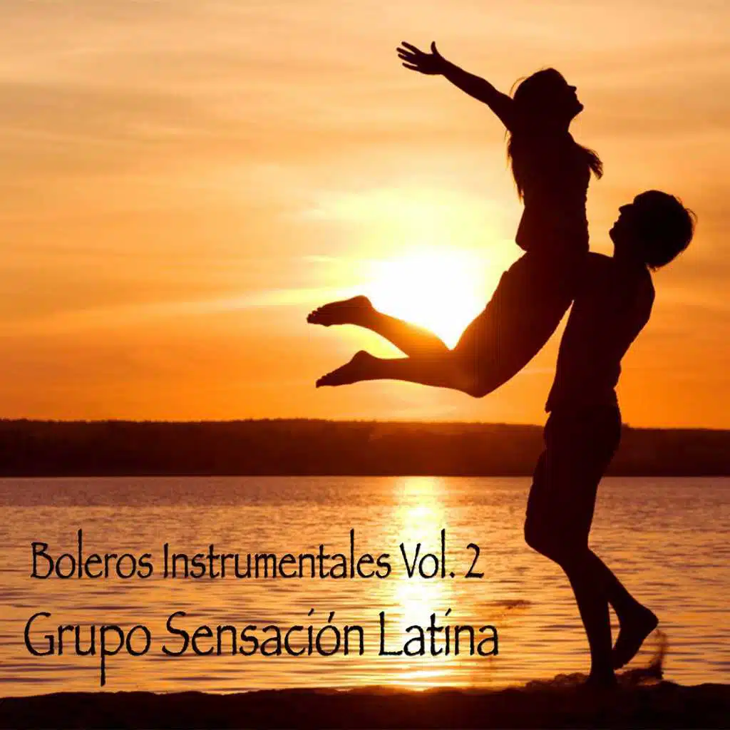 Boleros Instrumentales Vol 2