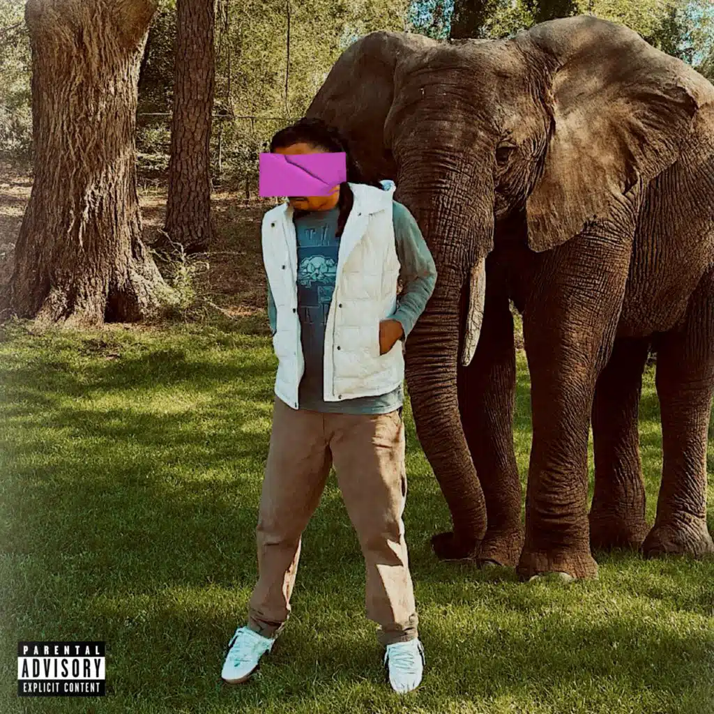 Elephant In The Room