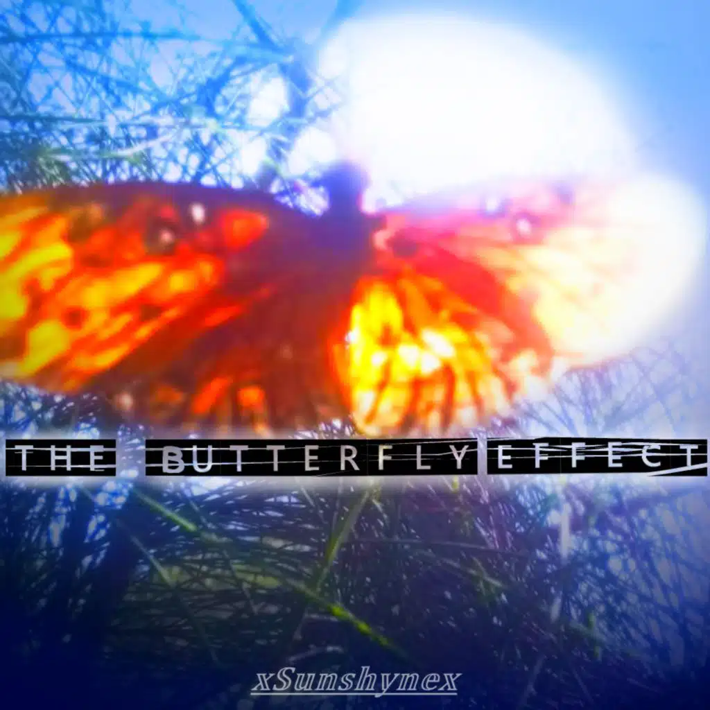 The Butterfly Effect
