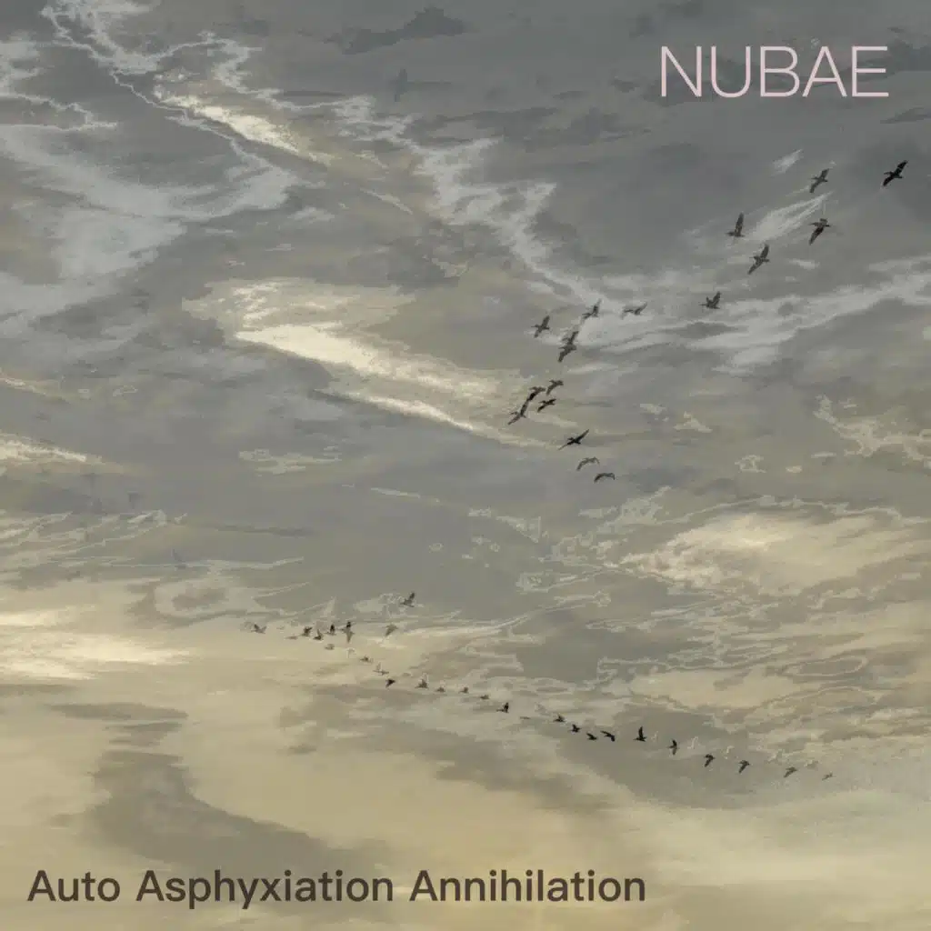 Auto Asphyxiation Annihilation