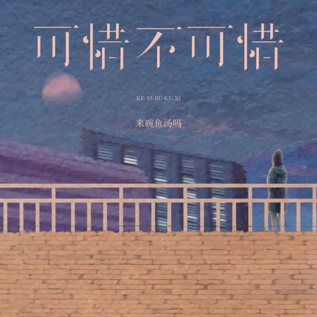 可惜不可惜 (吉他版)