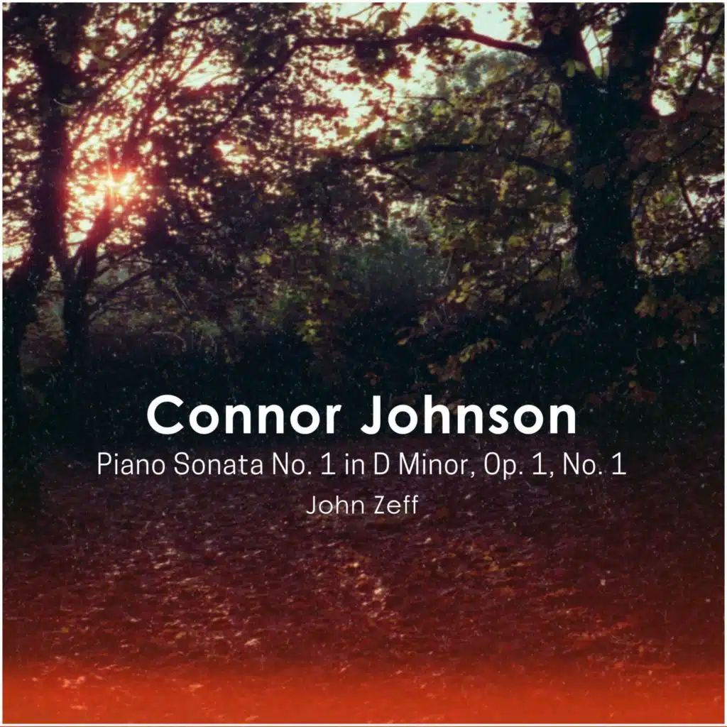 Piano Sonata No. 1 in D Minor, Op. 1, No. 1