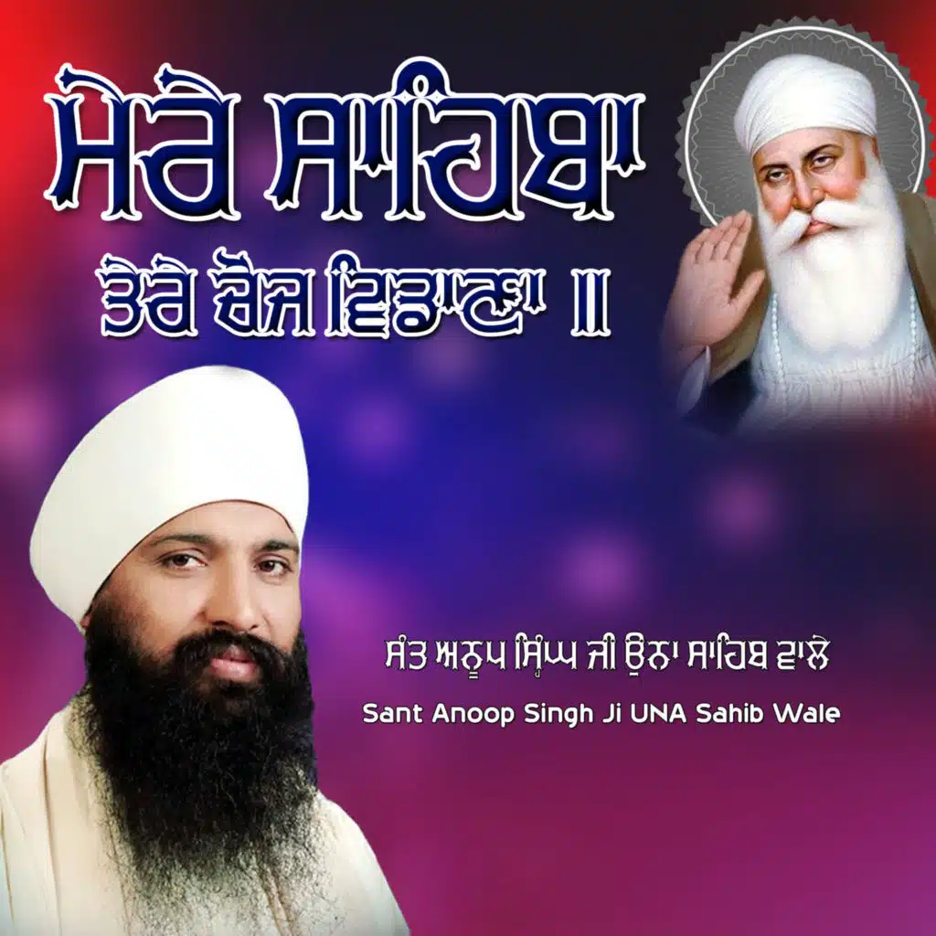 Sant Anoop Singh Ji Una Sahib Wale