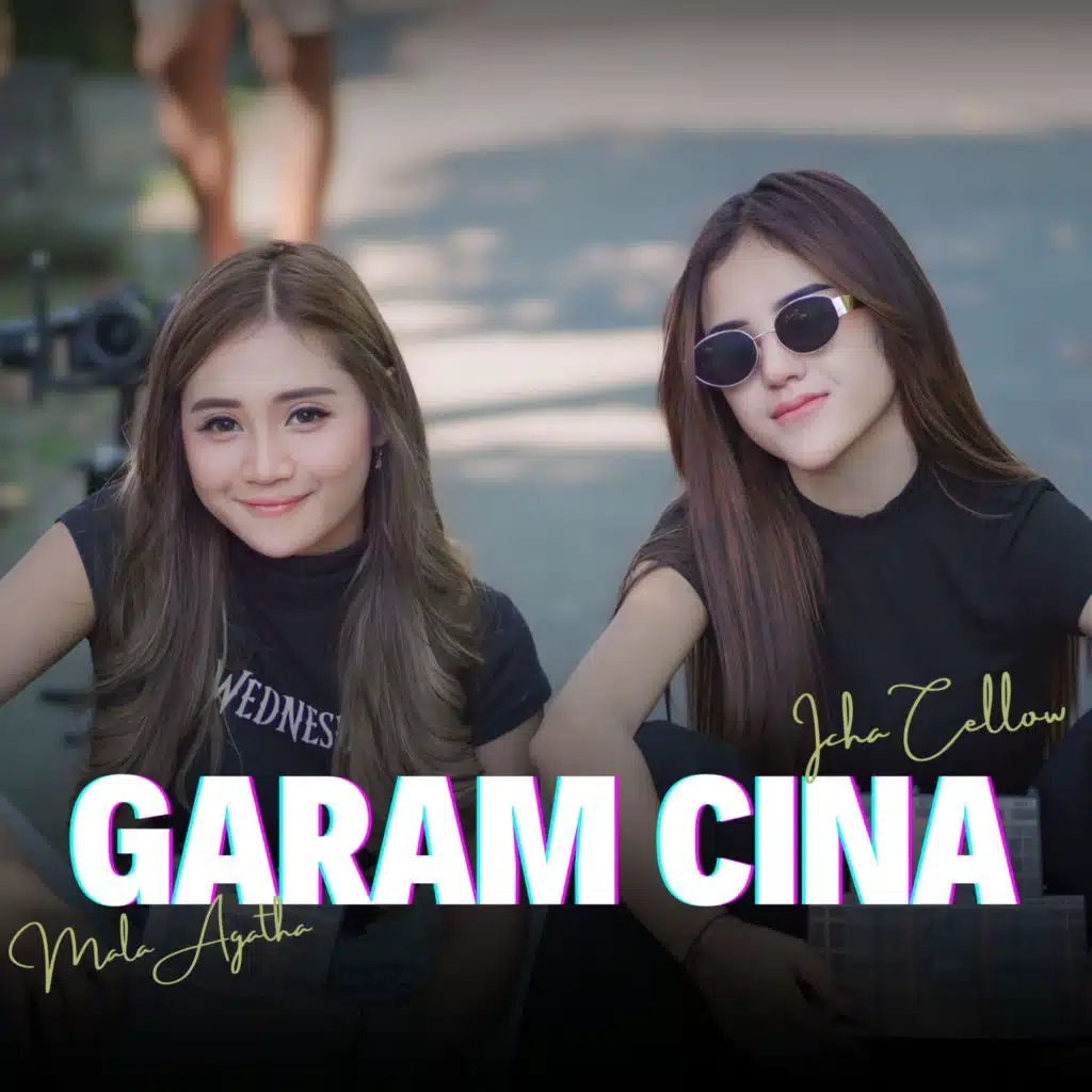 Garam Cina (Remix) [feat. DA Records]