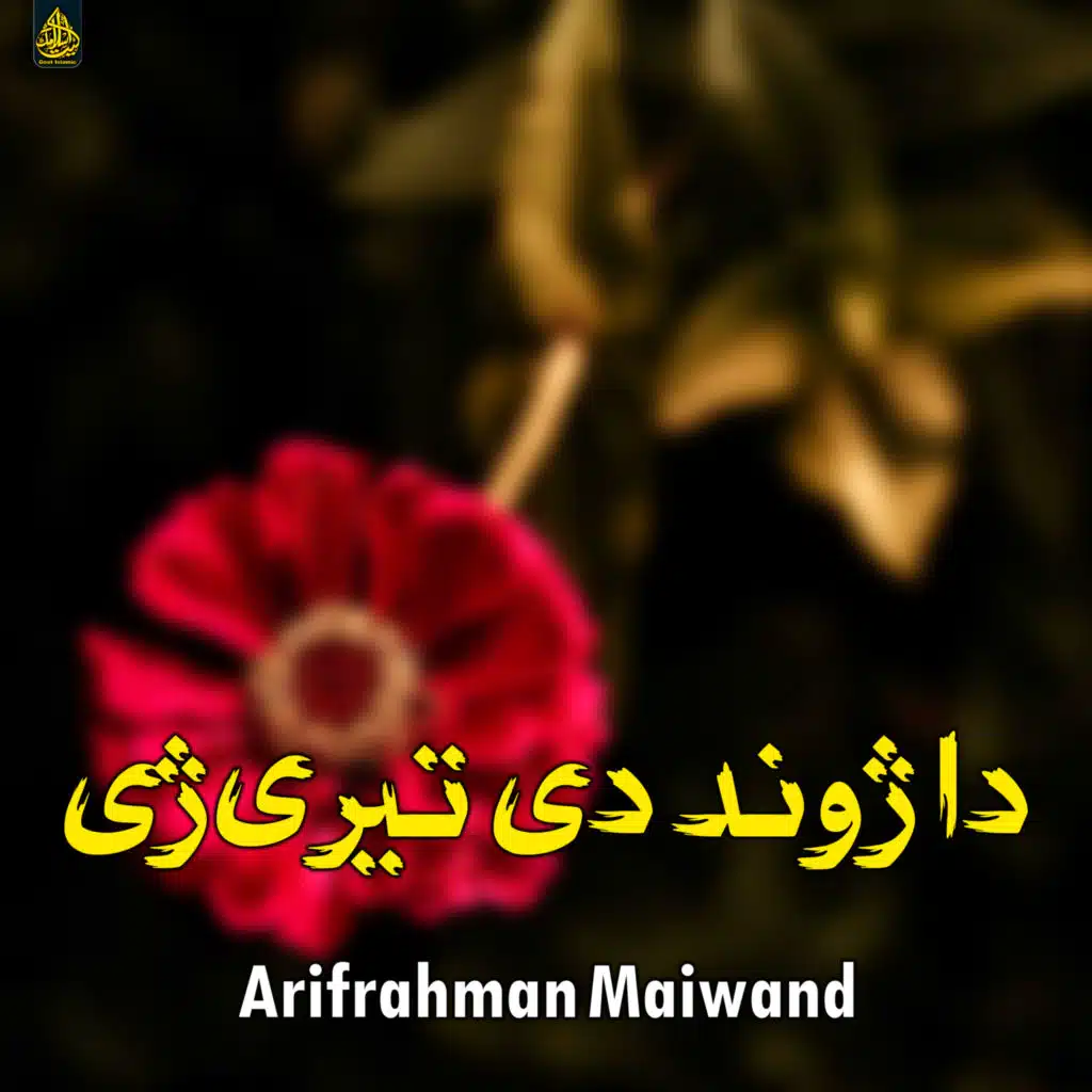 مصری سلام منګل روښان فدا کوچی