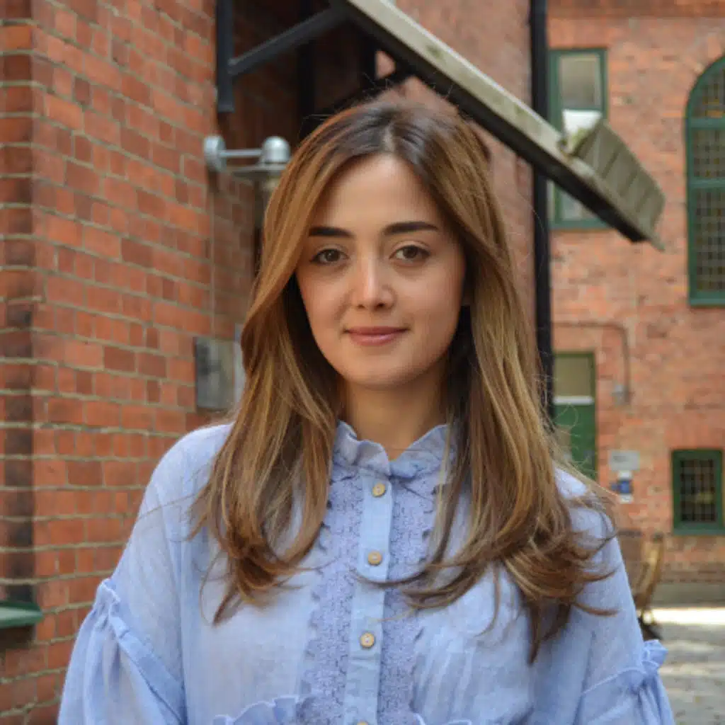 Arpine Matevosyan on the implementation of digital tools into court operations