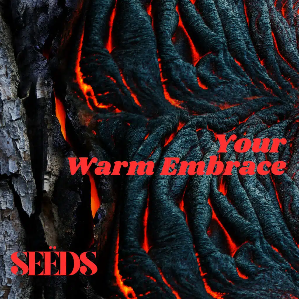SEËDS