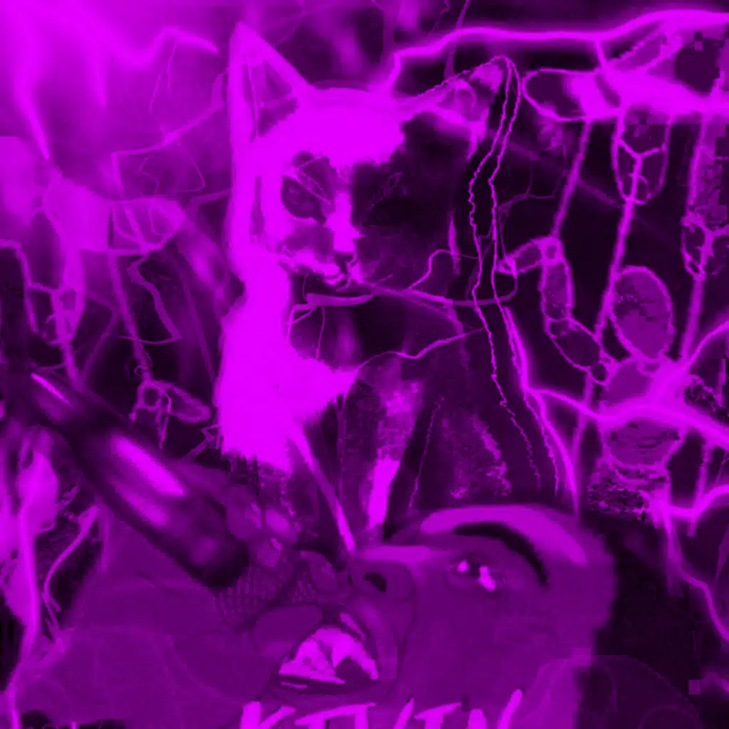 HERE COMES THE hURRICANE LEGENDARY KATRINA (REMIX) [feat. LEGENDARY KATRINA EBONY]