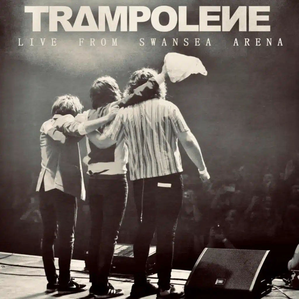 Beautiful Pain (Live at Swansea Arena)