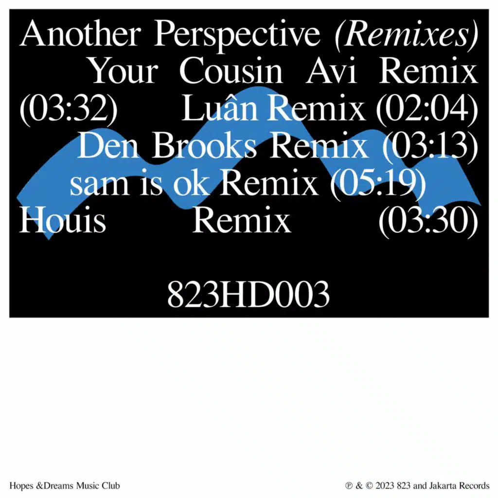 What You Got (Den Brooks Remix)