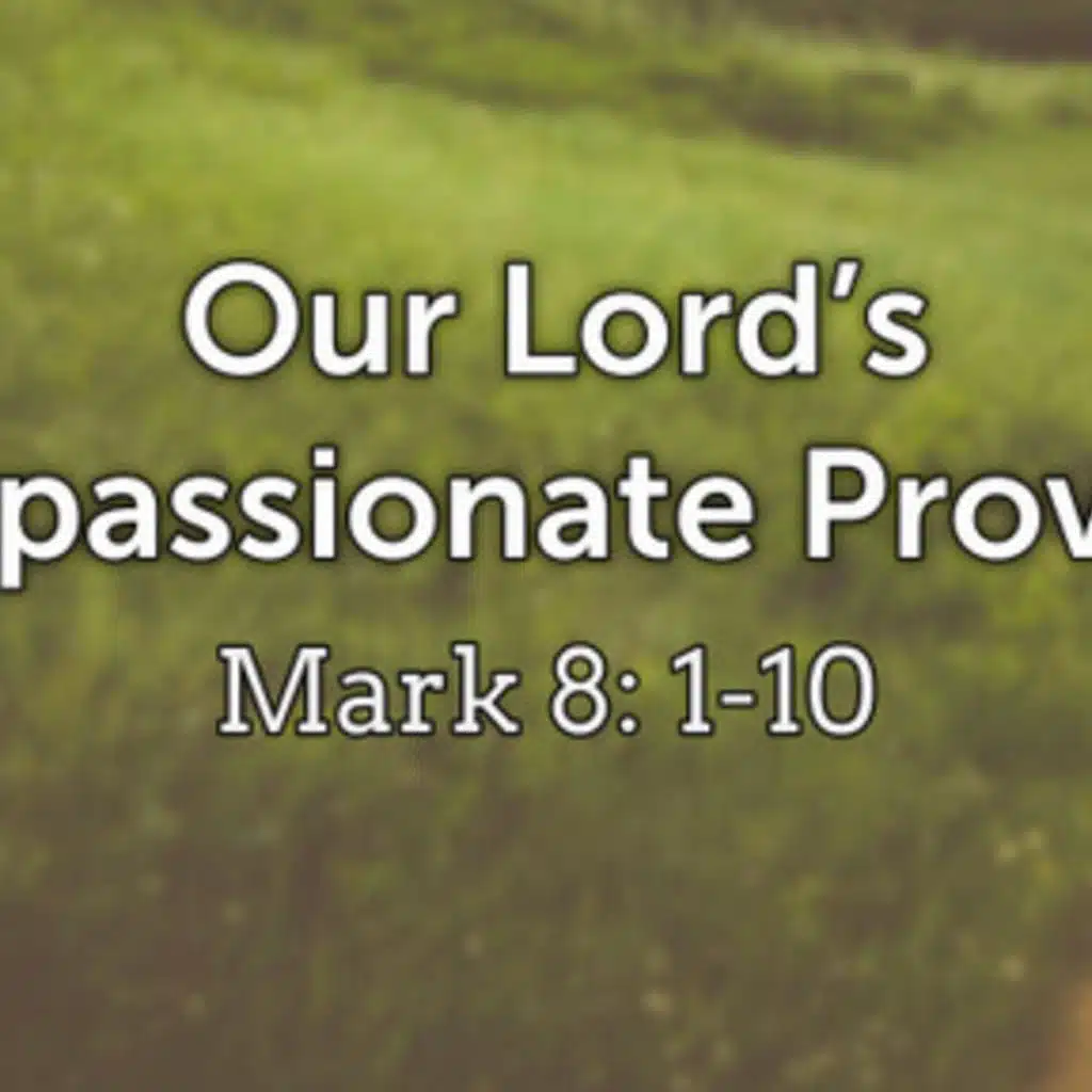 Our Lord’s Compassionate Provision