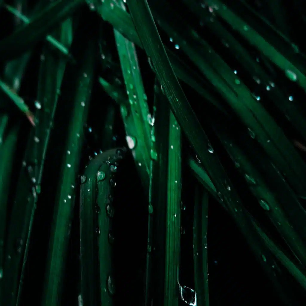 Your Eyes Shine When You See Me