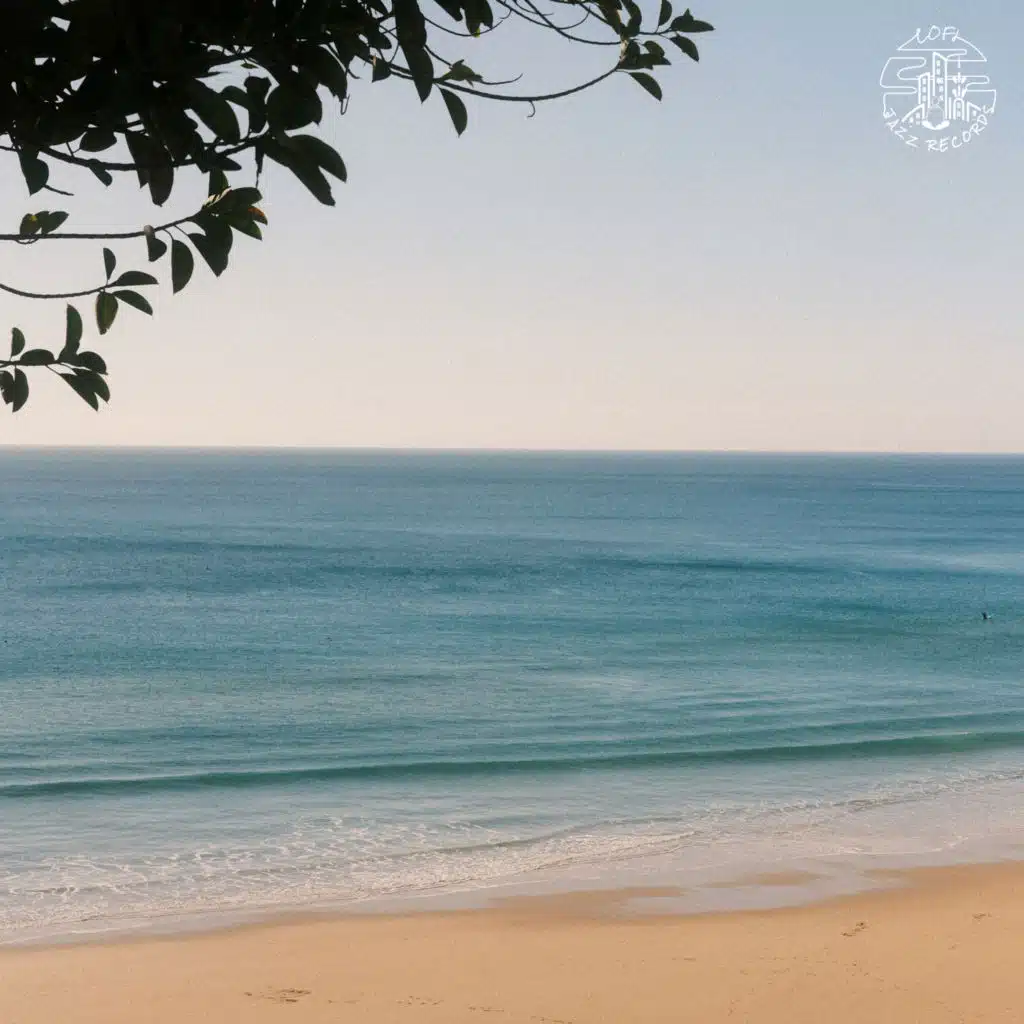 Mr. Käfer & Phlocalyst