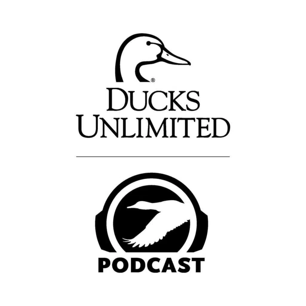 Species Profile: The Mallard (Ep. 715)