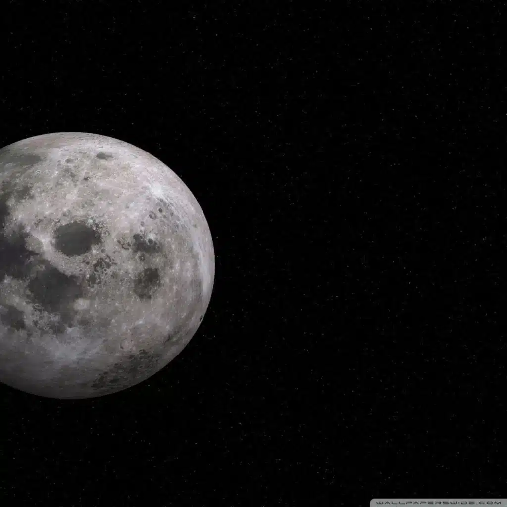 This Is Dwell-in Grey