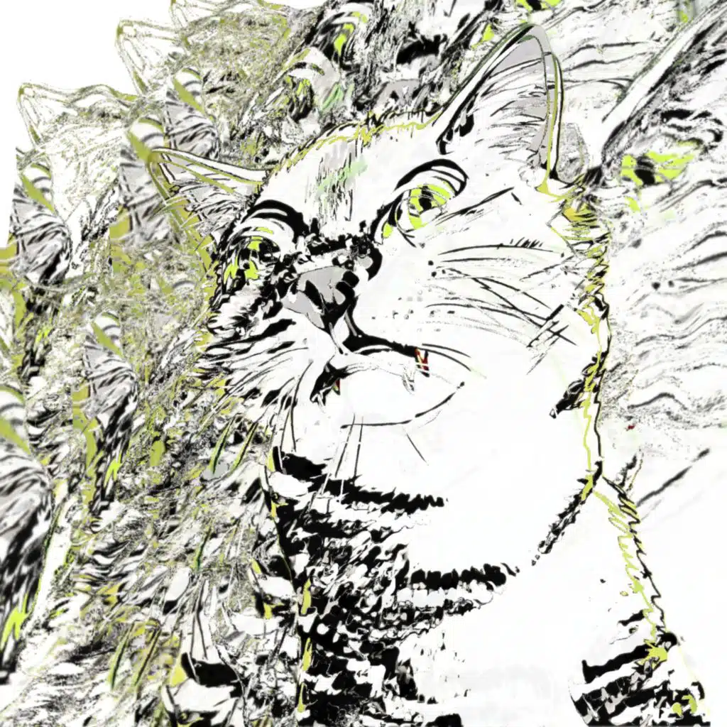 Single Ready To......?