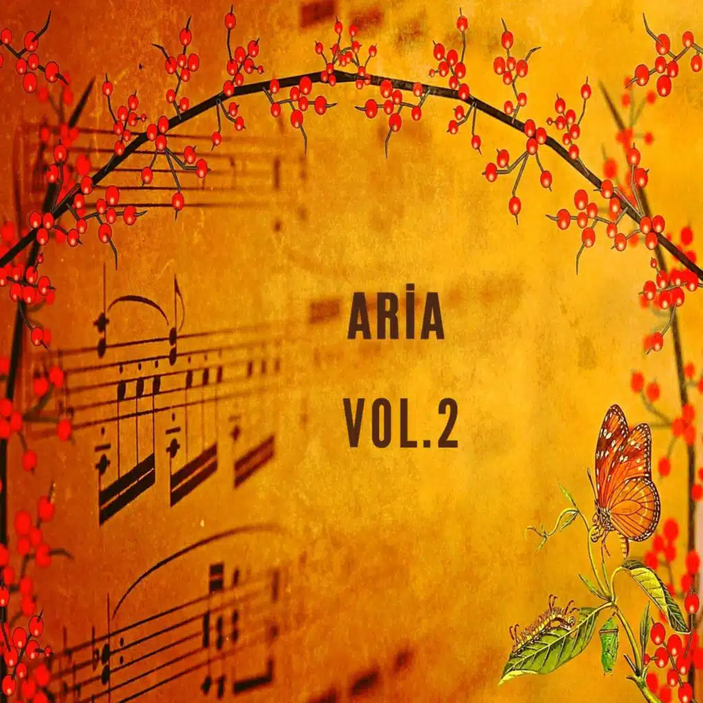 Cengiz Onural & Bora Ebeoğlu