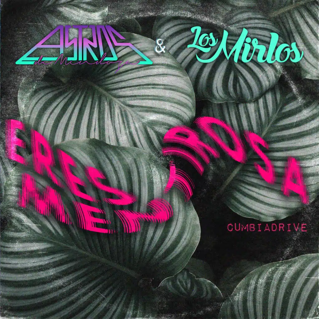 Astros de Mendoza, Los Mirlos & Cumbia Drive