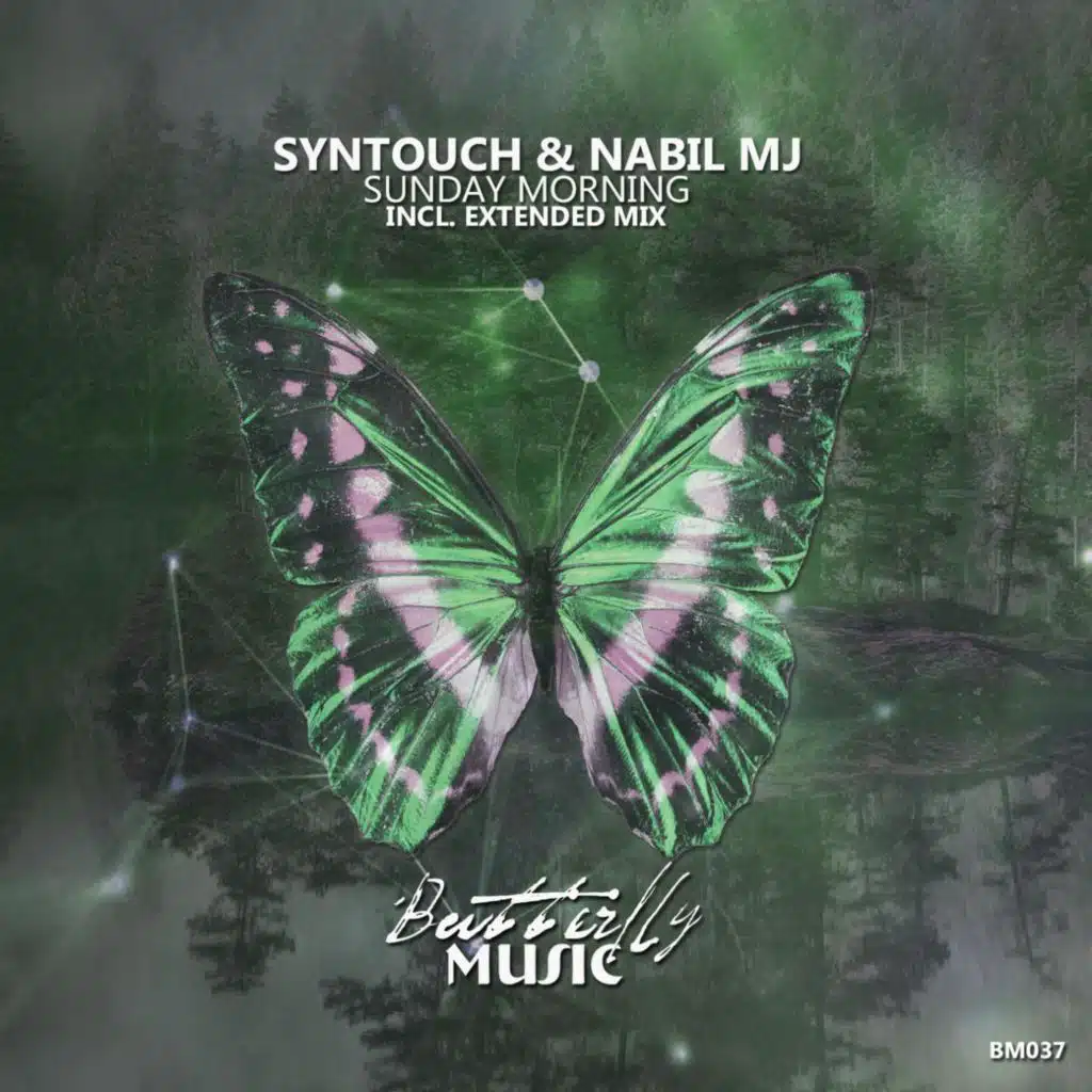 Syntouch & Nabil MJ