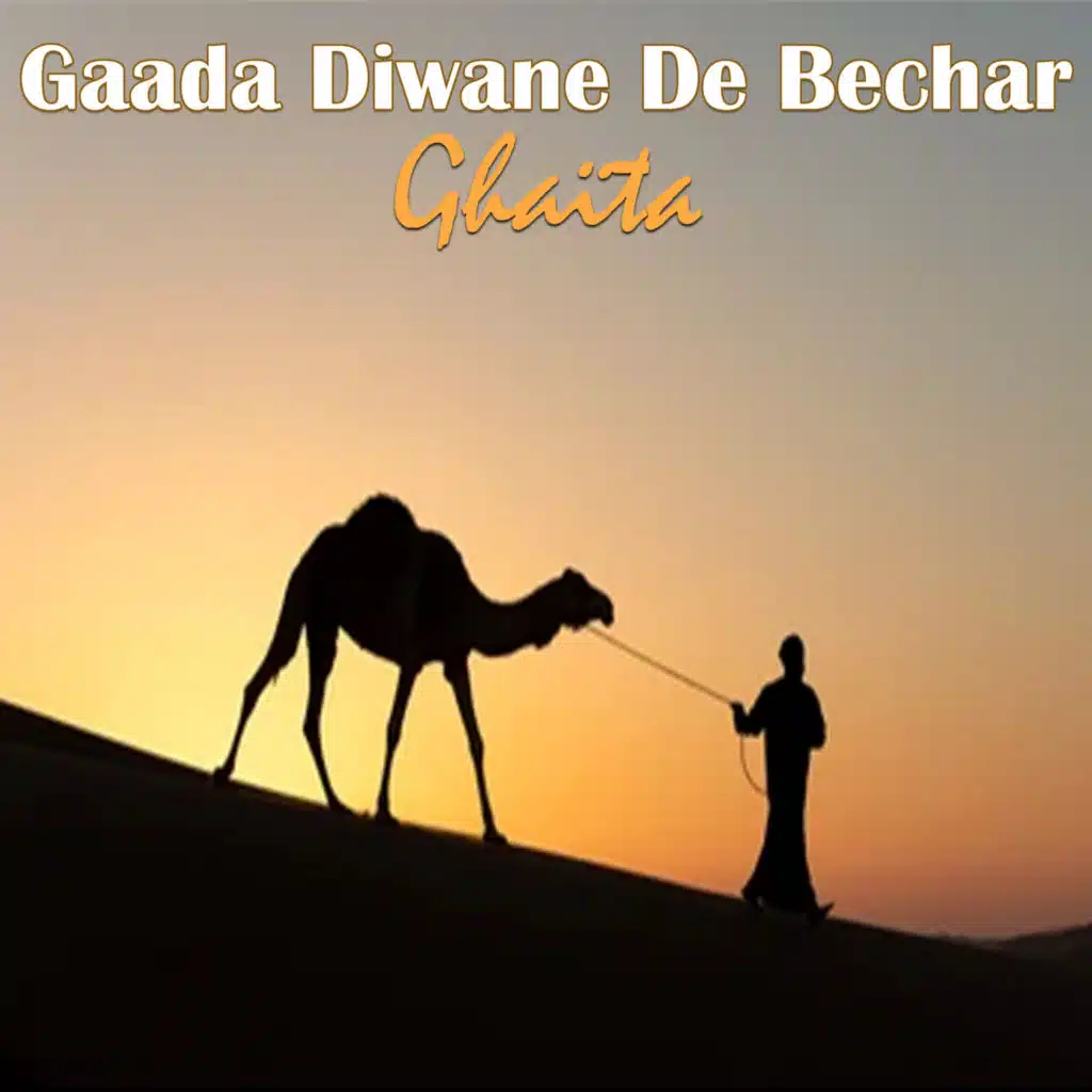 Gaada Diwane de Béchar