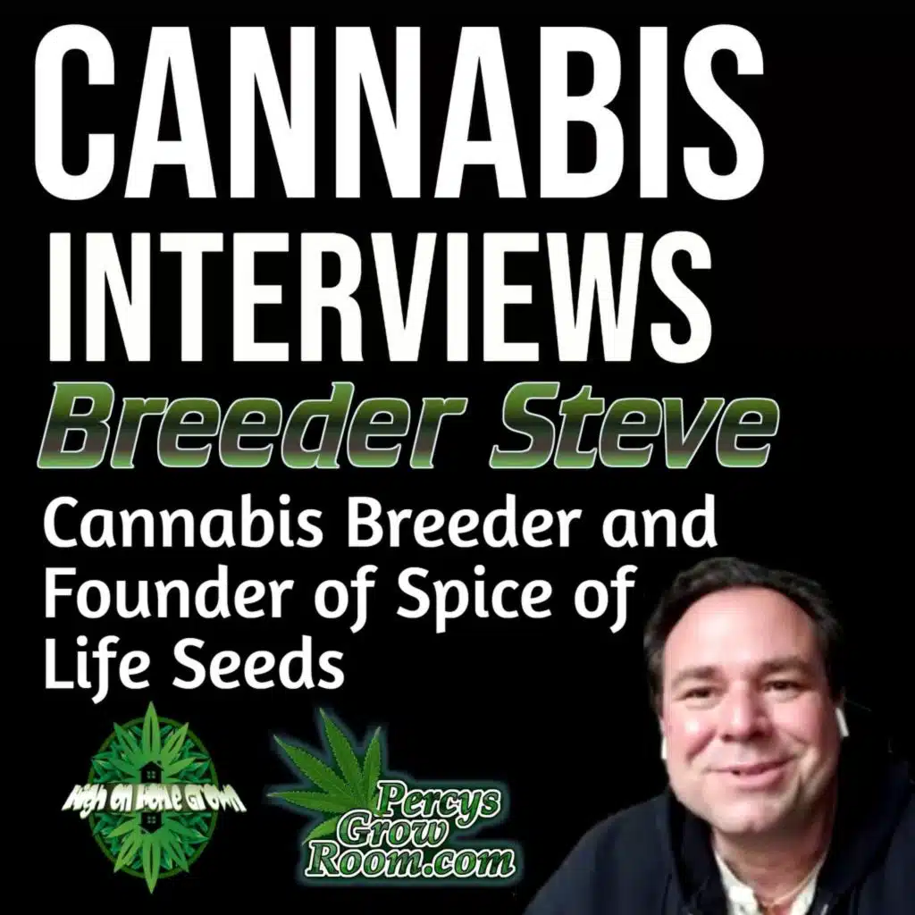 Breeder Steve | Thailand’s Cannabis Drama + His Latest Strains & Breeding Work