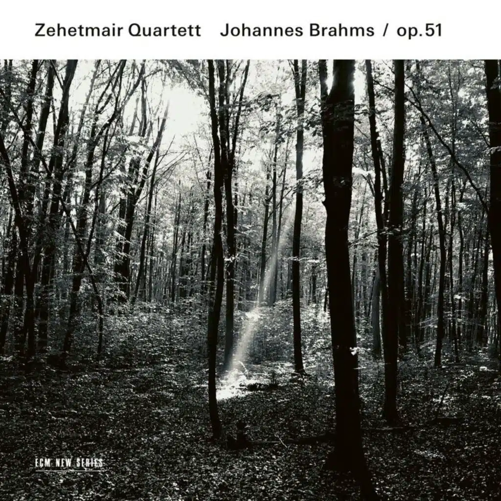 Brahms: String Quartet No. 2 in A Minor, Op. 51 No. 2: IV. Finale. Allegro non assai – Più vivace
