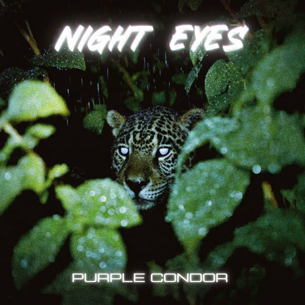 Purple Condor