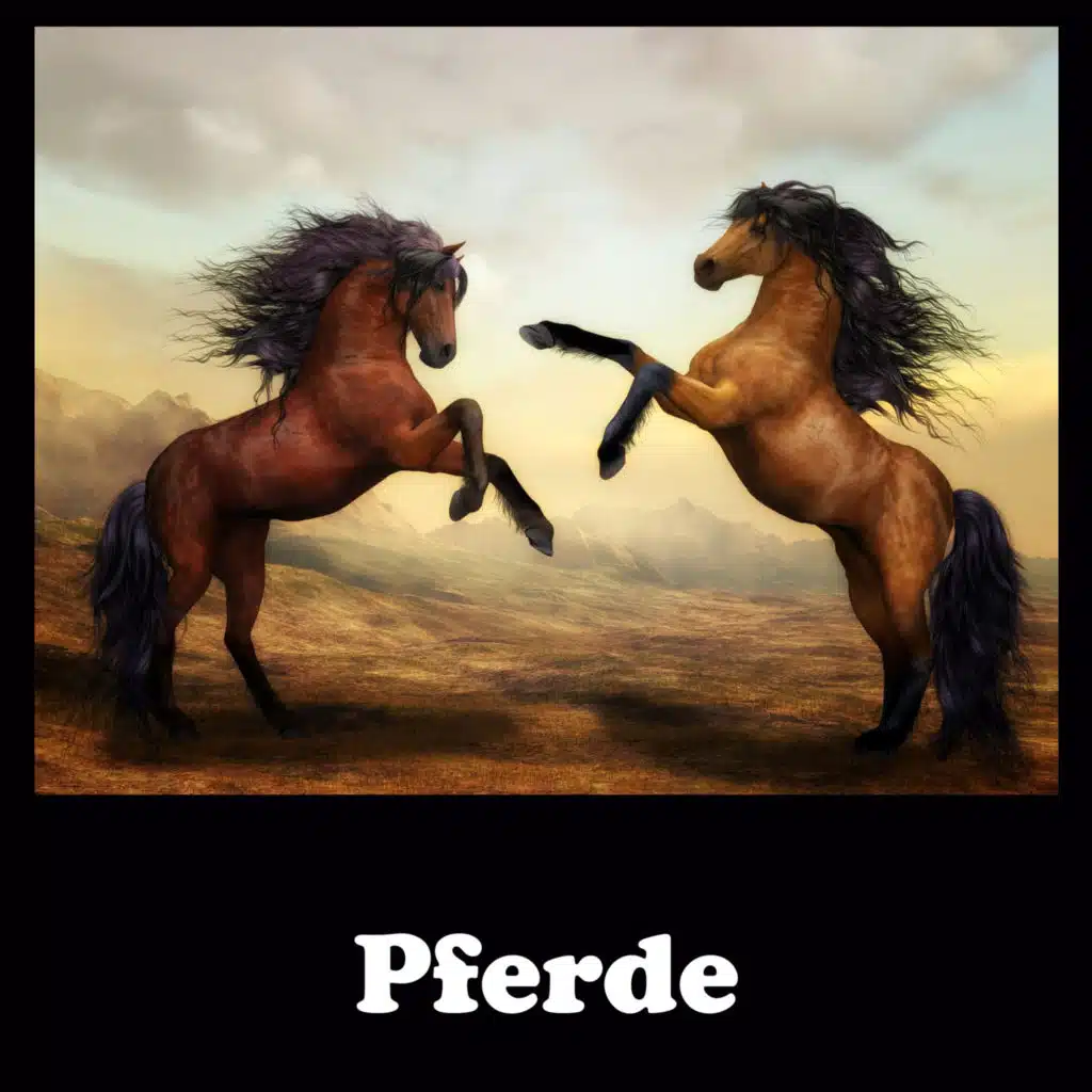 Pferde