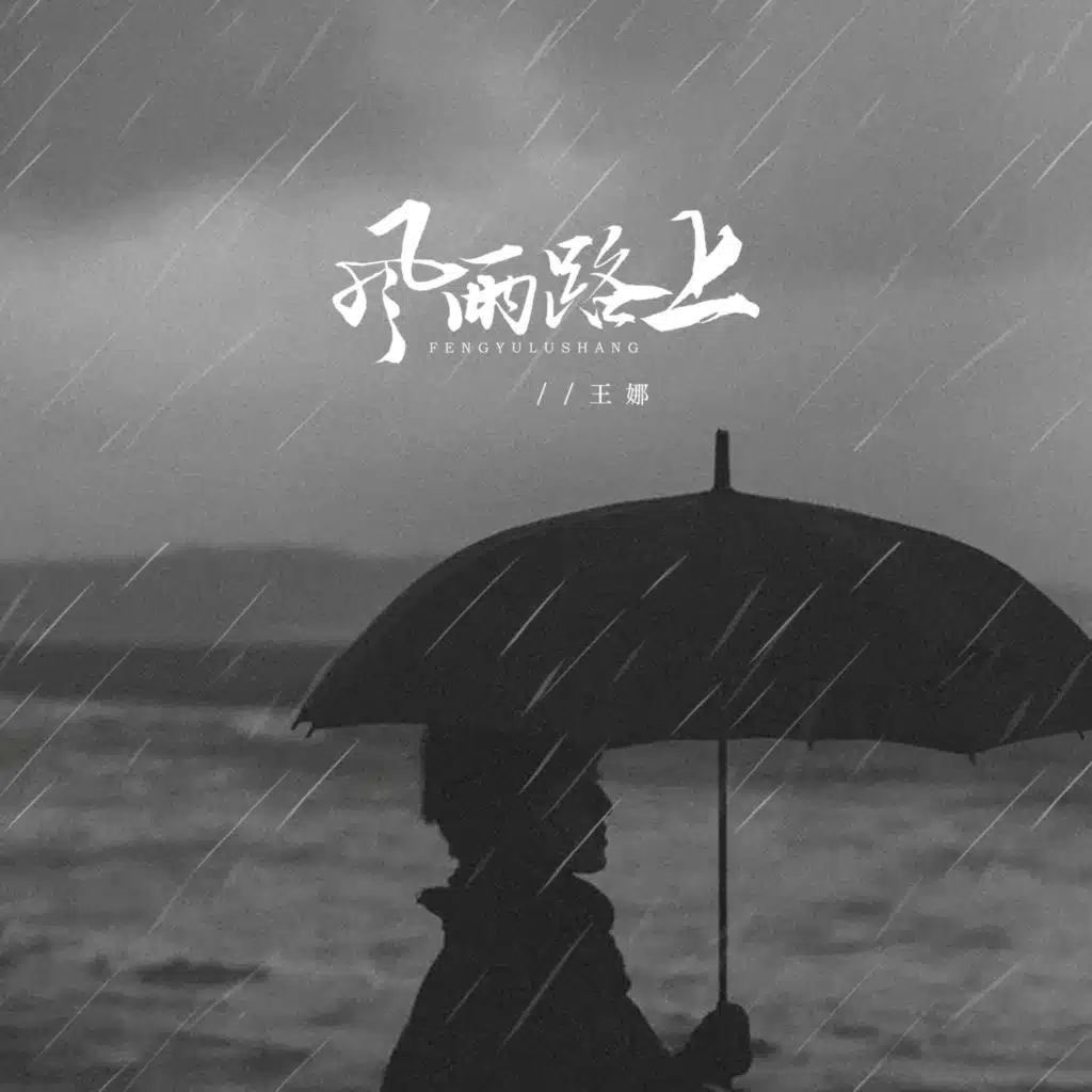 风雨路上 (DJ京仔版)