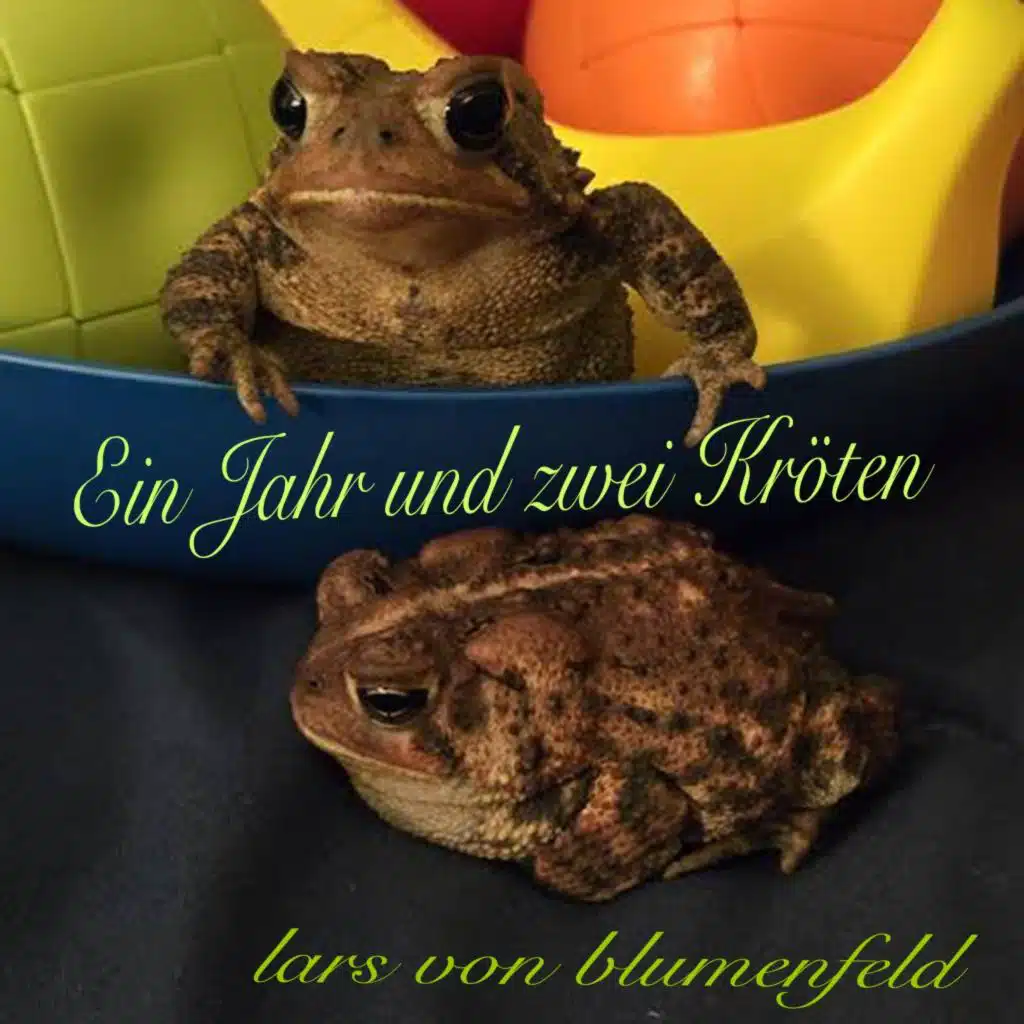 Zwei Kröten im Herbst