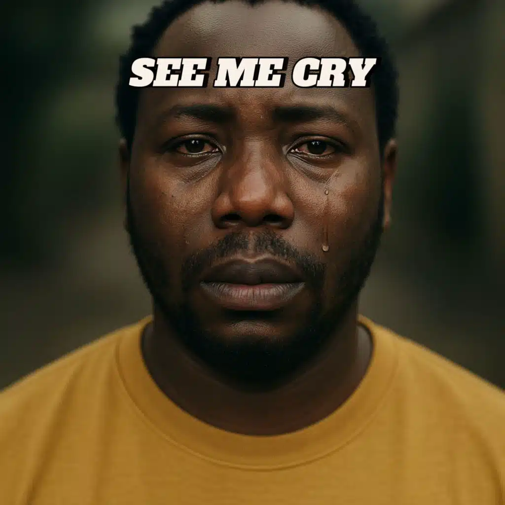 See Me Cry