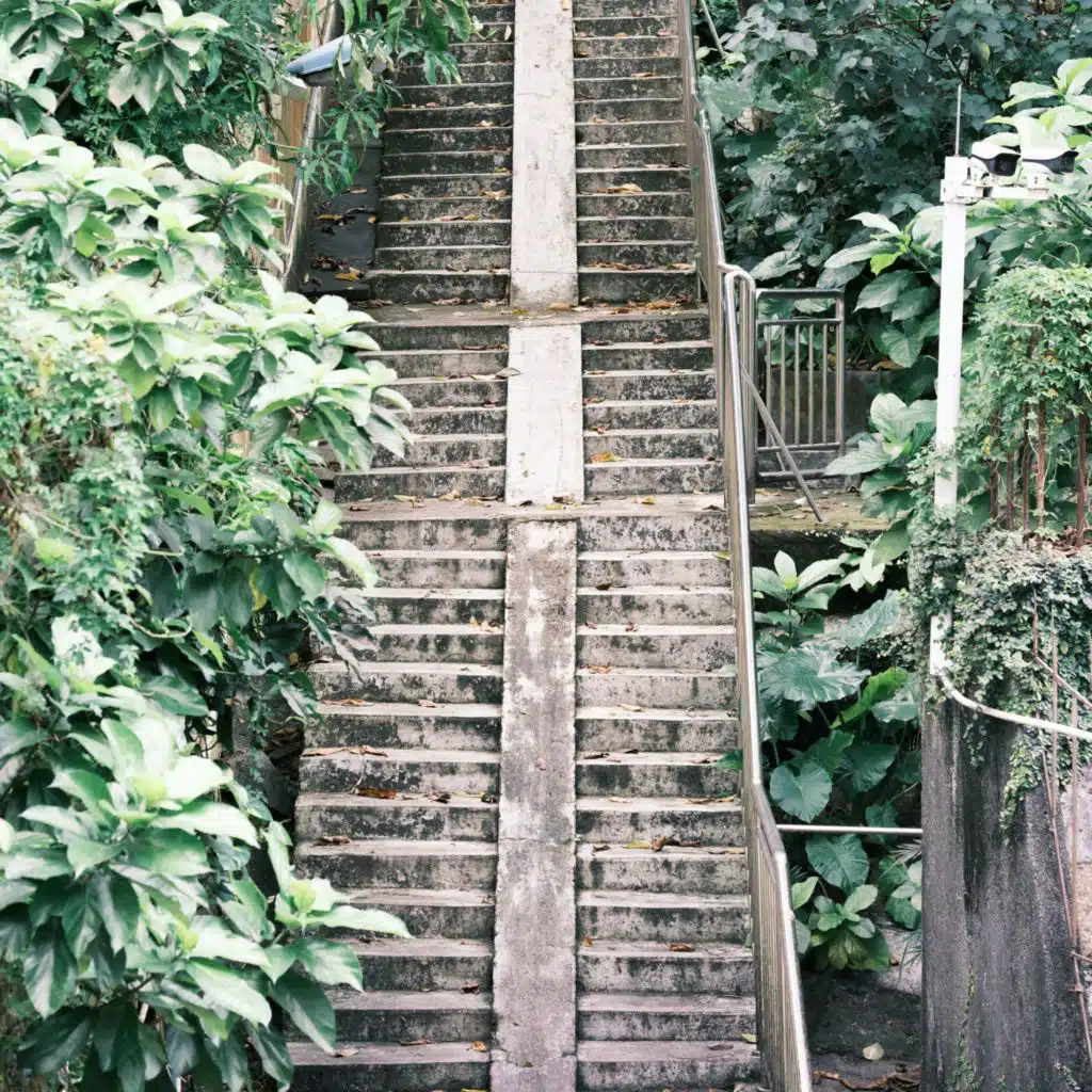 Steps of the Conservatory