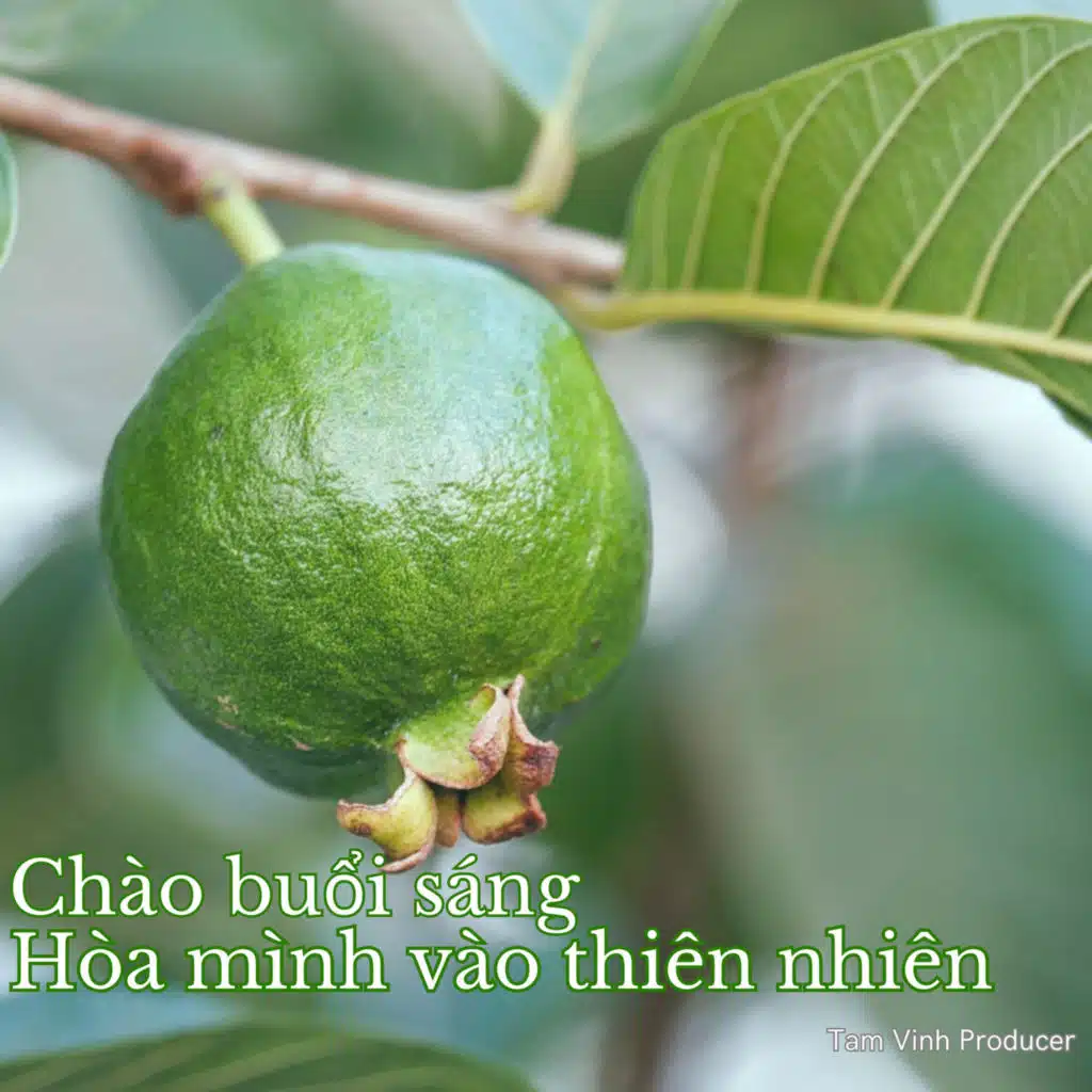 Chào buổi sáng - Hòa mình vào thiên nhiên