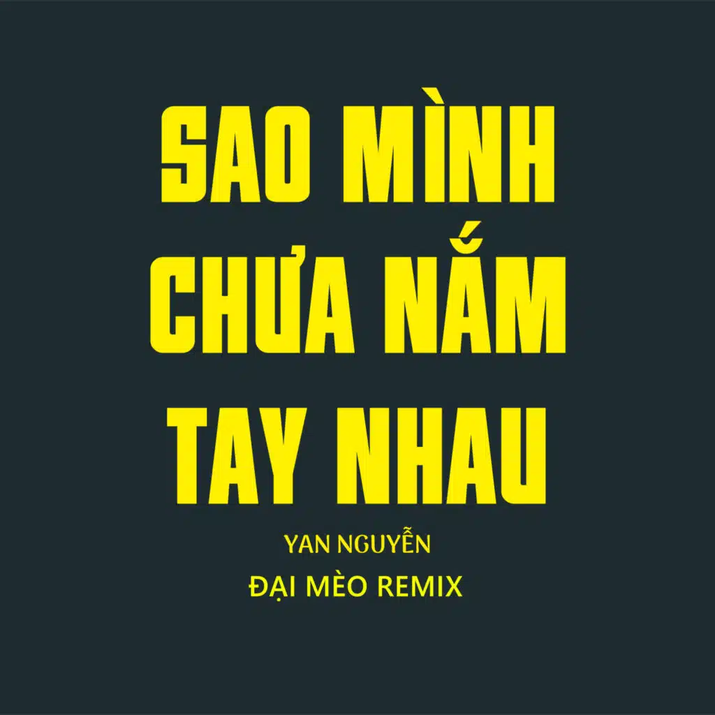 Sao Mình Chưa Nắm Tay Nhau (Đại Mèo Remix)